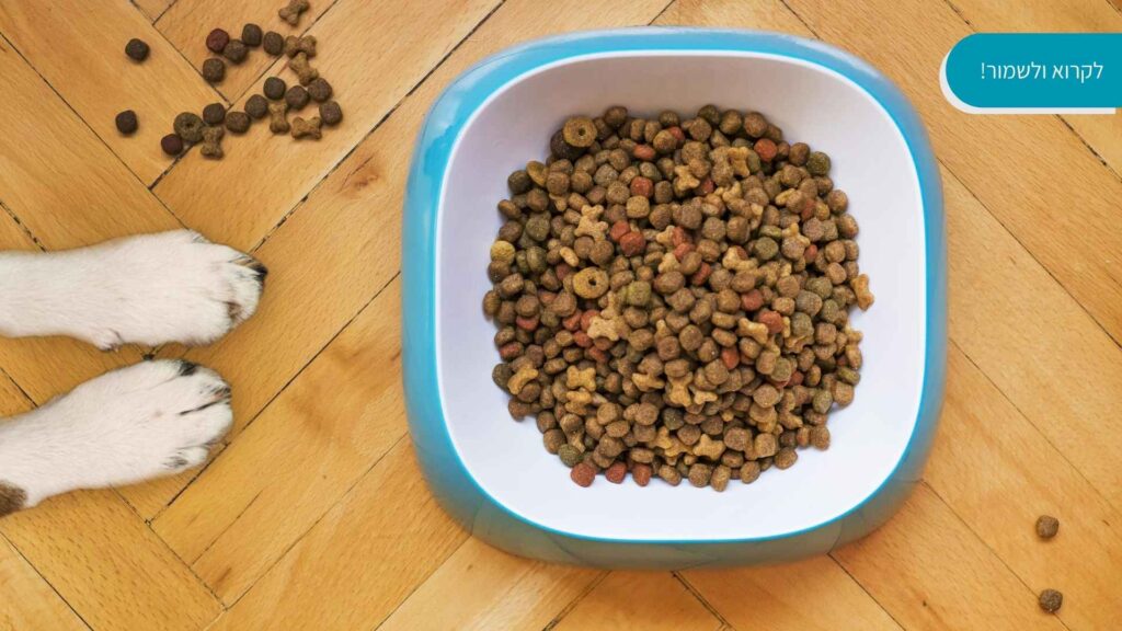 אוכל לכלבים