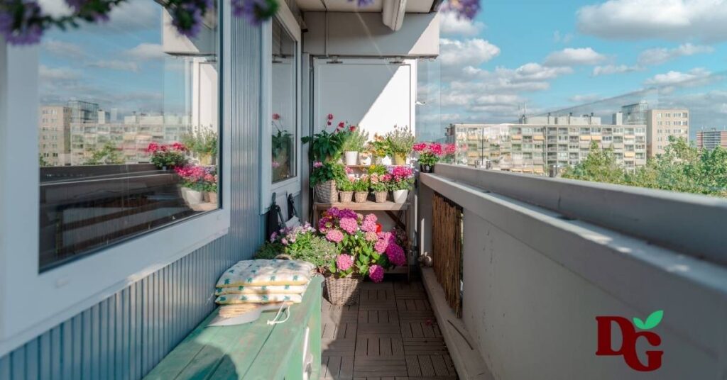 אדניות וצמחים במרפסת